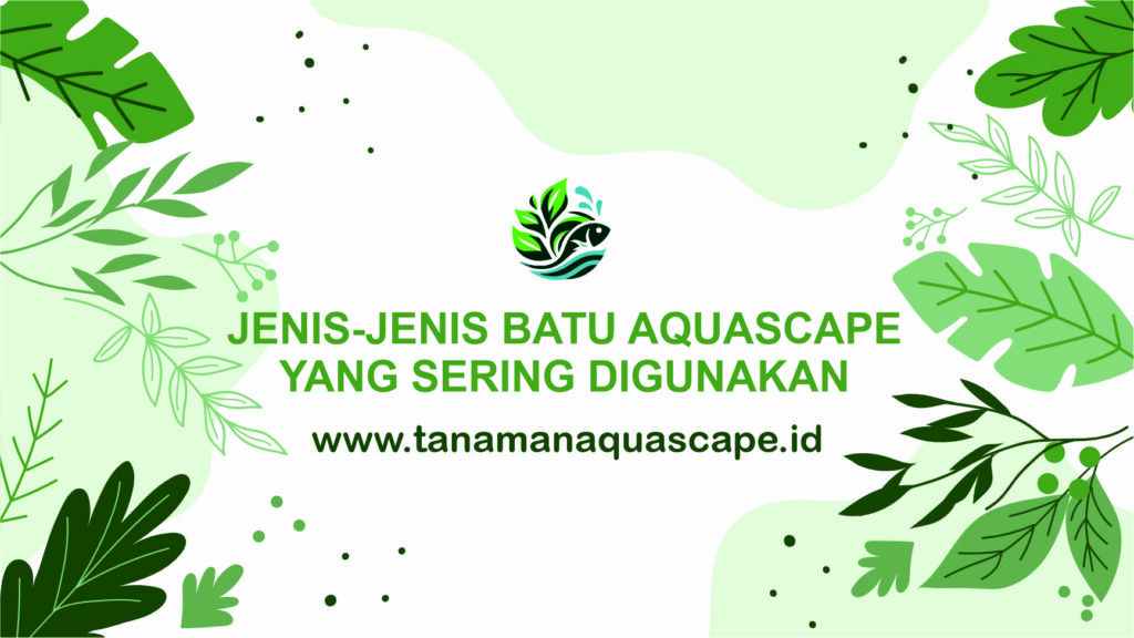 JENIS BATU AQUASCAPE