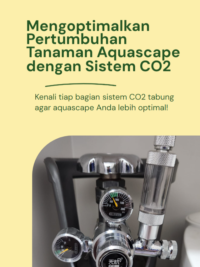 Optimalkan Aquascape dengan Sistem CO2 Tabung